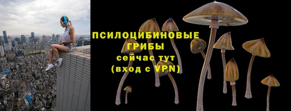 дживик Верхний Тагил