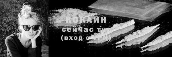 дживик Верхний Тагил
