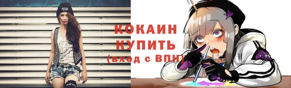 винт Верея