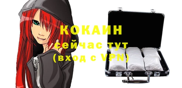 дживик Верхний Тагил
