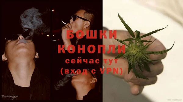 дживик Верхний Тагил