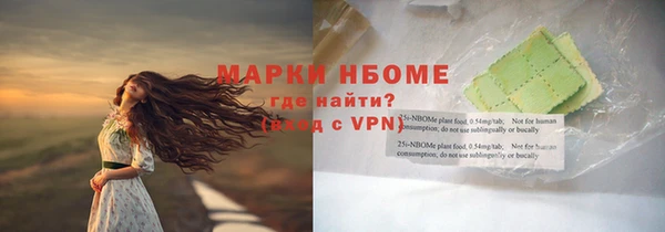 дживик Верхний Тагил