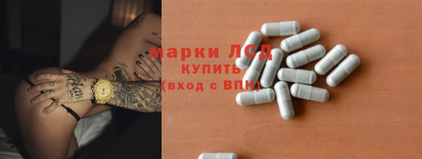 дживик Верхний Тагил
