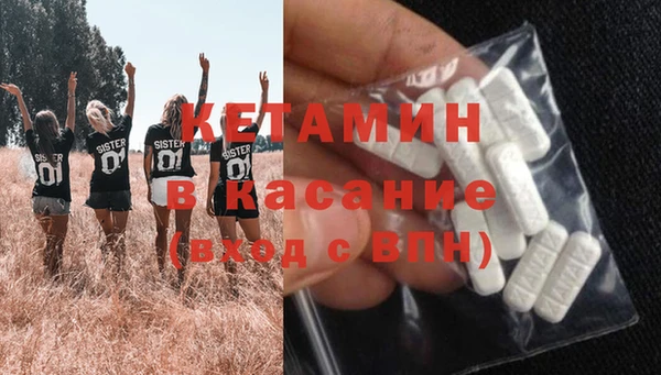 дживик Верхний Тагил