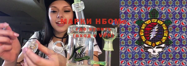 дживик Верхний Тагил