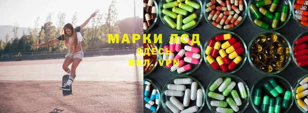 дживик Верхний Тагил