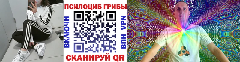 Псилоцибиновые грибы мухоморы  Александровское 